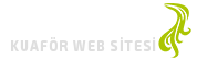 Kuaför Web Sitesi - Kadın Kuaförü Web Sitesi - Erkek Kuaförü Web Sitesi